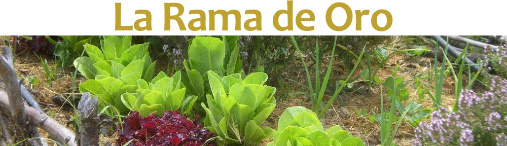 La Rama de Oro