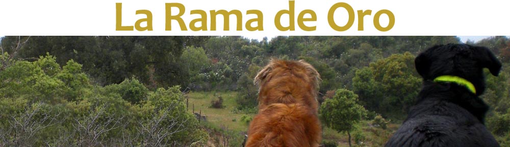 La Rama de Oro