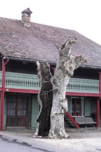 la vida en la periferia