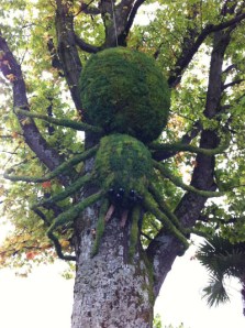arña gigante Montreux
