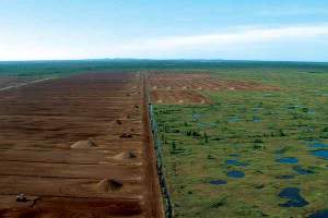 la turbera antes y después
