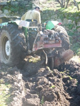 El tractor de Anastasio 