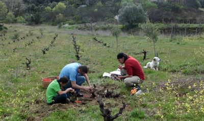 Javier, Miguel, y Pedro, que vino a ayudar