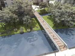 olivos centenarios, incluso milenarios