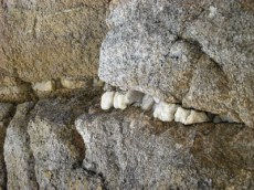 cuarzo en granito, pl.san pedro2