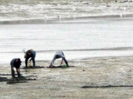 mariscadores en enero