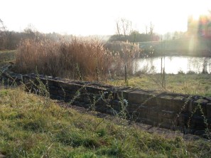 estanque frente al hosp Kircberg